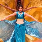 South Asian Showdown 2017 at John Hancock Hall