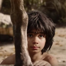 VIDEO: First Look - Watch Full Trailer for Disney's THE JUNGLE BOOK! Video