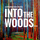 Pantochino Teen Theatre Journeys INTO THE WOODS in Connecticut Video