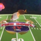 Nat Geo WILD's FISH BOWL IV: Are You Ready for the Biggest Night in Aquatic Sports History?!