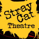 Stray Cat Presents World Premiere Black Comedy from Local Playwright