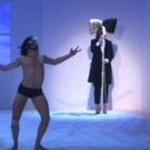 VIDEO: Sia Performs New Song 'Bird Set Free' on ELLEN Video