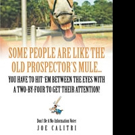 Joe Calitri Shares Views on the Government in New Book