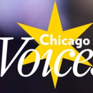 Lyric Unlimited Presents CHICAGO VOICES VIEW, Featuring Three Chicago Musicians Video