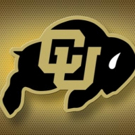 Watch the Alamo Bowl on the Big Screen at the Boulder Theater