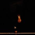 BWW Reviews: FLAMENCO VIVO Exhilarates at BAM