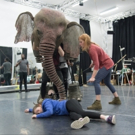 Photo Flash: First Look at Rehearsal Photos for the UK Tour of RUNNING WILD Video