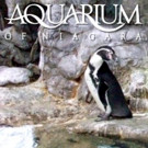 Aquarium of Niagara Kicks Off New Aquatic All-Star Camp This Month