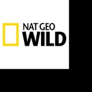 Nat Geo WILD to Premiere First Digital Series in August Video