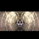 TREMOR - Ashley Dyer, Multi-Artform Practitioner, Exhibits at the Art House