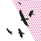Conor McPherson's THE BIRDS Makes NYC Debut Tonight as Part of 1st Irish