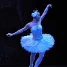 Maine State Ballet Presents SWAN LAKE, 3/24-4/9 Video