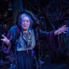 BWW Review: Vana O'Brien is a Witch to be Reckoned with in BROOMSTICK, at Artists Rep