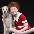 BWW Review: It's Gonna Be Gone TOMORROW! ANNIE Brings Much Appreciated Optimism in Brief Stop at The McCallum