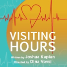 Kaplan's VISITING HOURS to Premiere at TheatreLab NYC on July 28th Video