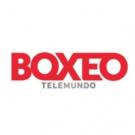 BOXEO TELEMUNDO FORD is Most-Watched Spanish-Language Boxing Program Year to Date