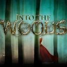 Cast Announced for INTO THE WOODS at Beef & Boards Video