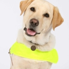 ATG Announces Disabled Access Day Plans & Programs Video