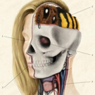 Director Talks PTSD, Female Veterans and More in SOLDIER BEE, Set to Screen at Winter Film Awards Indie Festival