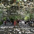 Madison Square Park Conservancy to Host 'Poetry Under Fata Morgana,' 9/17 Video