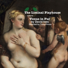 The Liminal Playhouse to Present VENUS IN FUR