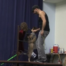 STAGE TUBE: Behind-the-Scenes With Toto From Phoenix Theatre's THE WIZARD OF OZ Video