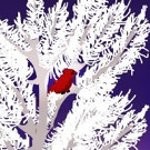 Colorado Vocal Arts Ensemble Presents WINTERSONG