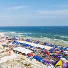 Flying Fish At Flora-Bama