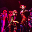 Review Roundup: CATS Returns to Broadway- All the Reviews!
