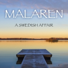 Sudden bereavement, Male-Bonding and a Nordic Backdrop in N.E. David's A SWEDISH AFFA Video
