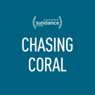 Netflix Acquires CHASING CORAL at Sundance Film Festival