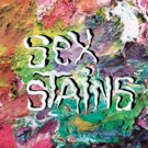 Sex Stains Co-Fronted By Allison Wolfe of Bratmobile Debut LP Streaming Now Video