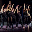 DANCIN' BROADWAY to Bring the Steps of Bob Fosse, Jerome Robbins & More to Ridgefield Video