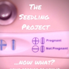 Partly Cloudy People's THE SEEDLING PROJECT to Tackle Unplanned Pregnancy at The PIT  Video
