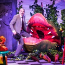 BWW Review: LITTLE SHOP OF HORRORS at Playhouse On Park Video