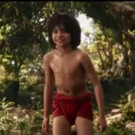 VIDEO: Bill Murray & More in All-New THE JUNGLE BOOK Featurette