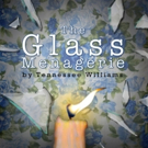 THE GLASS MENAGERIE Comes to Santa Maria, Solvang This Spring and Summer Video