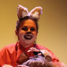 The Playhouse Proudly Presents Roald Dahl's FANTASTIC MR. FOX