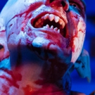 BWW Review: Farcical BAT BOY THE MUSICAL is a Blood-Sucking 'Hoot' at Blank Canvas