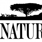 THIRTEEN's Nature Follows Wildlife Cameraman's Return Visit to His Homeland in 'My Congo'