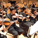 PYSO Launches 'Exciting' New Season with Fall Concert, 11/15