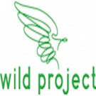 The Wild Project Announces Current and Upcoming Projects Video