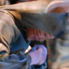 American Repertory Ballet Welcomes New Brunswick Students for NUTCRACKER Performance  Video