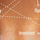 The Rubin Museum of Art Builds “THE WISDOM MATRIX” in New Fall Series Video