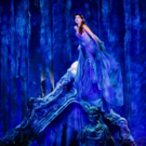 BWW Review: Spectacular Sets and Special Effects Make THE LITTLE MERMAID Shine Video