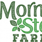 Prepare To Be Bowled Over: MorningStar Farms' Introduces Five New Flavor Combinations