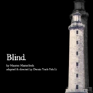 Experimental Work BLIND to Reexamine the 'Left' in the Age of Trump at TNC
