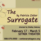 The Surrogate at Centenary Stage-A Hilarious New Play and a Must-See