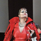 BWW Interview: Elza van den Heever Takes on Beethoven's Leonore in FIDELIO at Caramoo Video