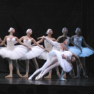 Moscow Festival Ballet to Return to Wharton Center with SWAN LAKE Video